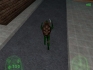 Ingame shot